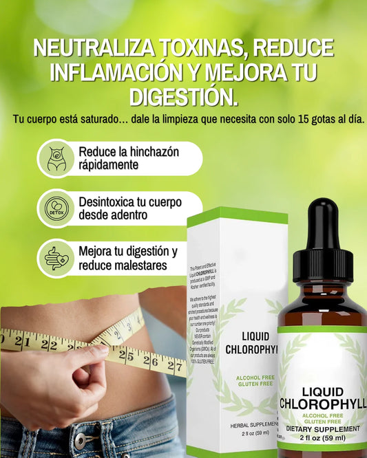 Clorofila Líquida Premium | Detox Natural y Energía Diaria